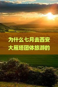 为什么七月去西安大雁塔团体旅游的年轻人多？打卡网红地+沉浸式体验让你不虚此行