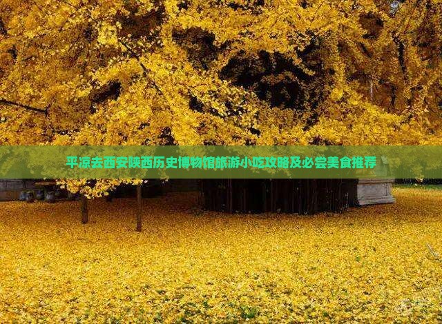 平凉去西安陕西历史博物馆旅游小吃攻略及必尝美食推荐