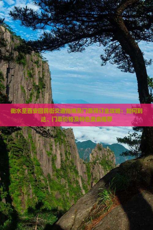 衡水至西安回民街交通指南及门票预订全攻略：如何到达、门票价格及特色美食推荐