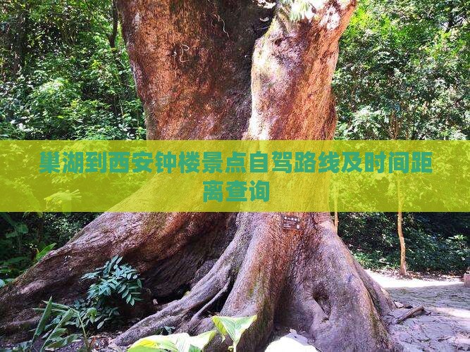 巢湖到西安钟楼景点自驾路线及时间距离查询