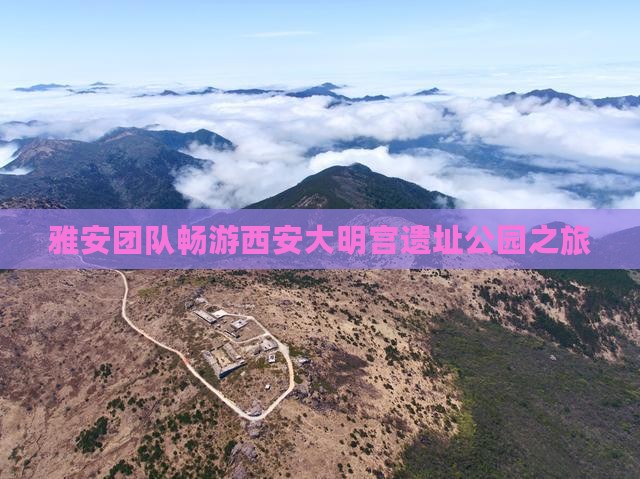 雅安团队畅游西安大明宫遗址公园之旅