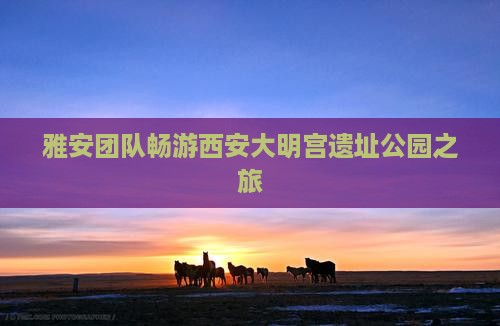 雅安团队畅游西安大明宫遗址公园之旅