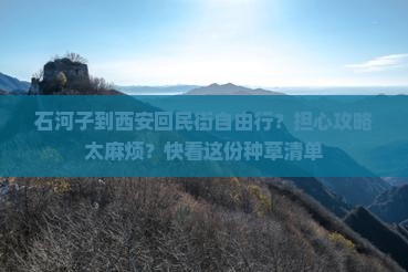 石河子到西安回民街自由行？担心攻略太麻烦？快看这份种草清单