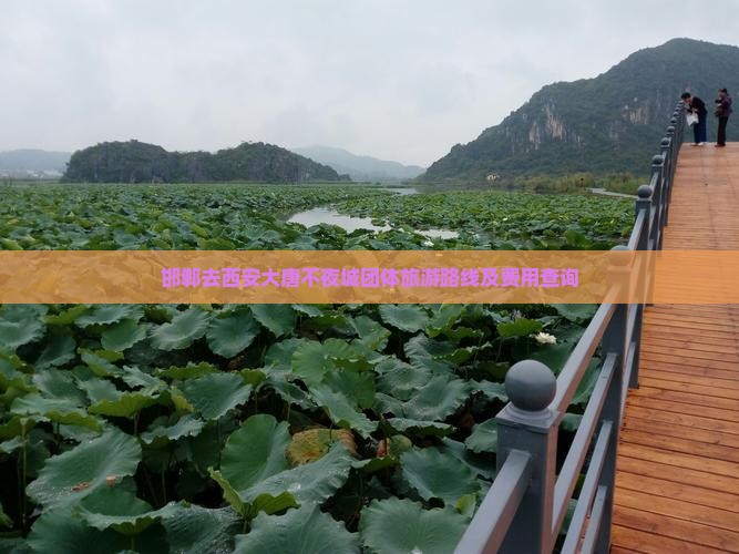 邯郸去西安大唐不夜城团体旅游路线及费用查询