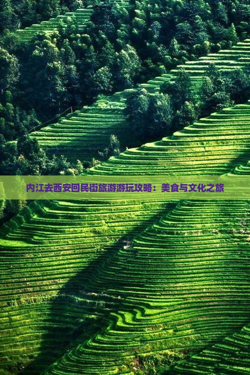 内江去西安回民街旅游游玩攻略：美食与文化之旅