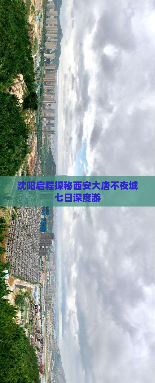 沈阳启程探秘西安大唐不夜城七日深度游