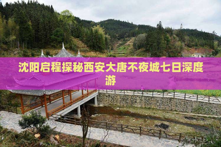 沈阳启程探秘西安大唐不夜城七日深度游