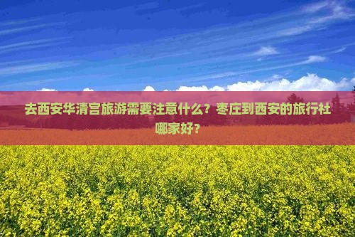 去西安华清宫旅游需要注意什么？枣庄到西安的旅行社哪家好？