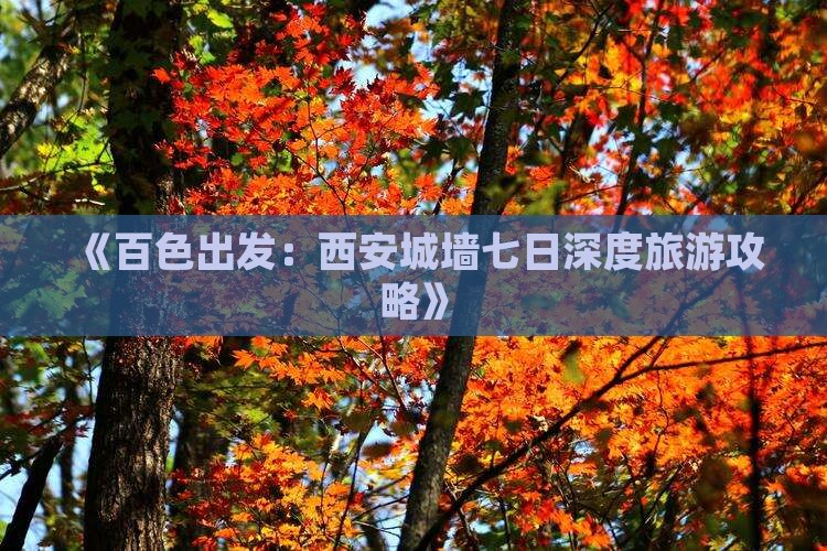 《百色出发:西安城墙七日深度旅游攻略》 《百色出发:西安城墙七日深度旅游攻略》