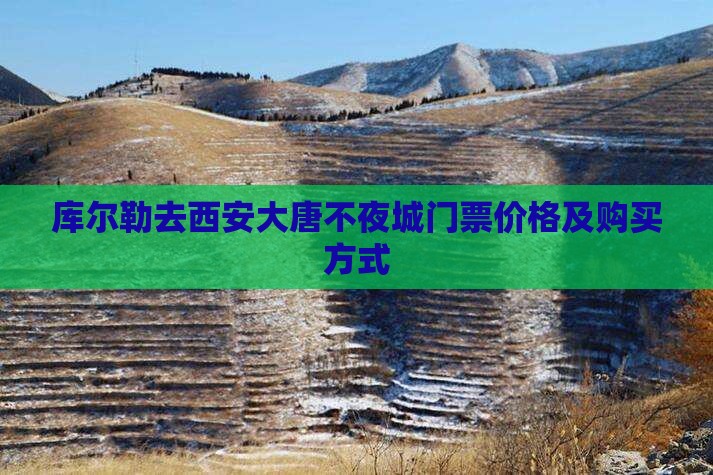 库尔勒去西安大唐不夜城门票价格及购买方式