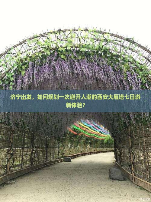 济宁出发，如何规划一次避开人潮的西安大雁塔七日游新体验？