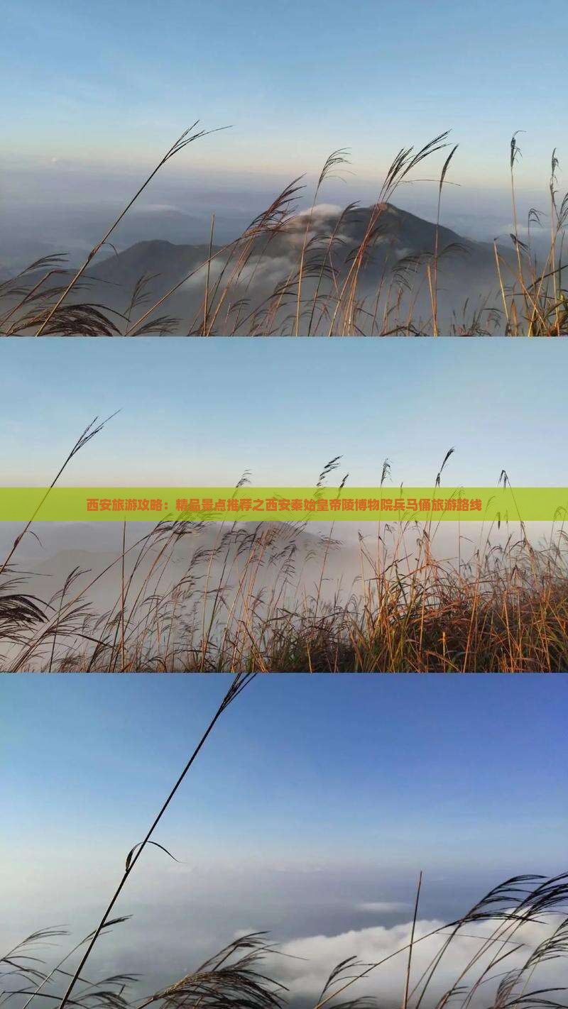 西安旅游攻略：精品景点推荐之西安秦始皇帝陵博物院兵马俑旅游路线