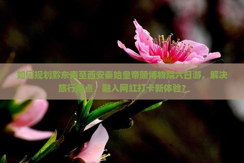 如何规划黔东南至西安秦始皇帝陵博物院六日游，解决旅行痛点，融入网红打卡新体验？