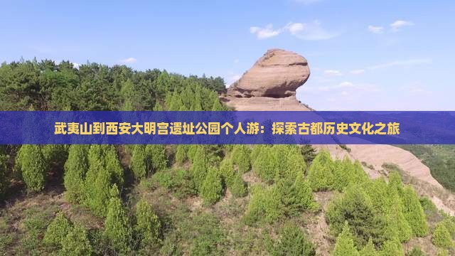 武夷山到西安大明宫遗址公园个人游：探索古都历史文化之旅
