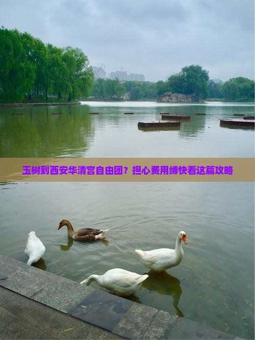 玉树到西安华清宫自由团？担心费用缚快看这篇攻略