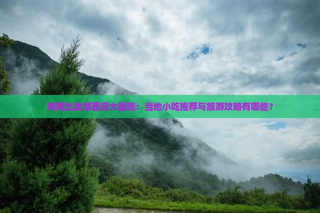 黄南出发游西安大雁塔：当地小吃推荐与旅游攻略有哪些？