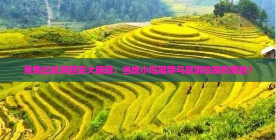 黄南出发游西安大雁塔：当地小吃推荐与旅游攻略有哪些？