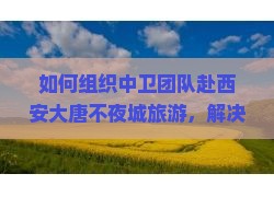 如何组织中卫团队赴西安大唐不夜城旅游，解决团游痛点，抓住最新热词机遇？