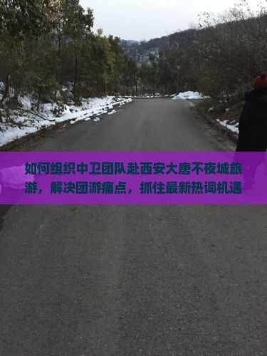 如何组织中卫团队赴西安大唐不夜城旅游，解决团游痛点，抓住最新热词机遇？