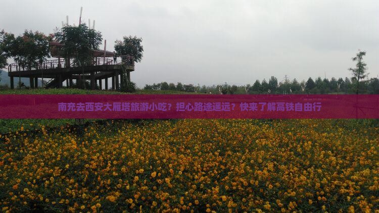 南充去西安大雁塔旅游小吃？担心路途遥远？快来了解高铁自由行