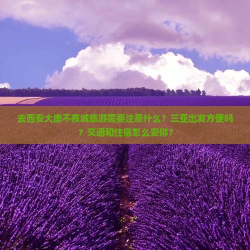 去西安大唐不夜城旅游需要注意什么？三亚出发方便吗？交通和住宿怎么安排？