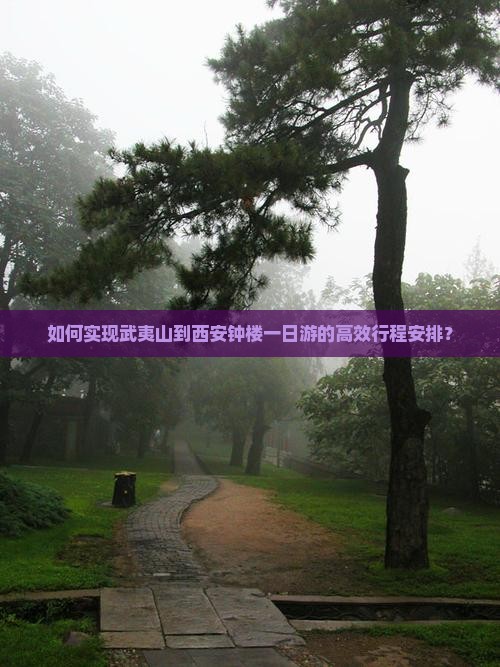 如何实现武夷山到西安钟楼一日游的高效行程安排？