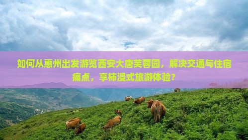 如何从惠州出发游览西安大唐芙蓉园，解决交通与住宿痛点，享柿浸式旅游体验？