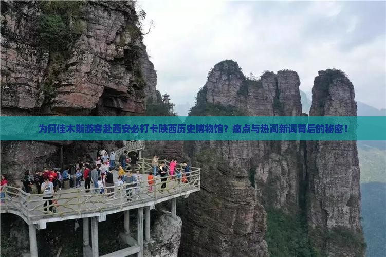 为何佳木斯游客赴西安必打卡陕西历史博物馆？痛点与热词新词背后的秘密！