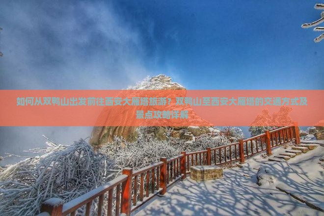 如何从双鸭山出发前往西安大雁塔旅游？双鸭山至西安大雁塔的交通方式及景点攻略详解
