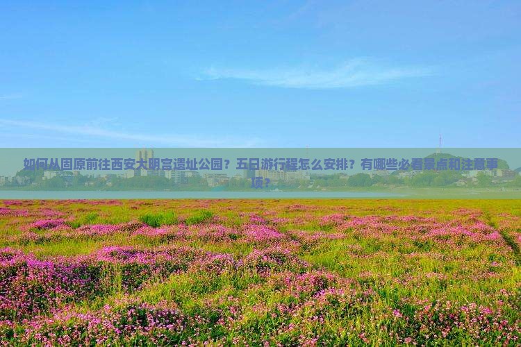 如何从固原前往西安大明宫遗址公园？五日游行程怎么安排？有哪些必看景点和注意事项？