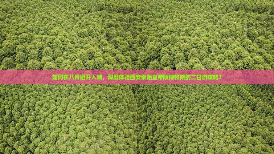 如何在八月避开人潮，深度体验西安秦始皇帝陵博物院的二日游攻略？