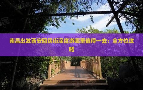 南昌出发西安回民街深度游哪里值得一去：全方位攻略