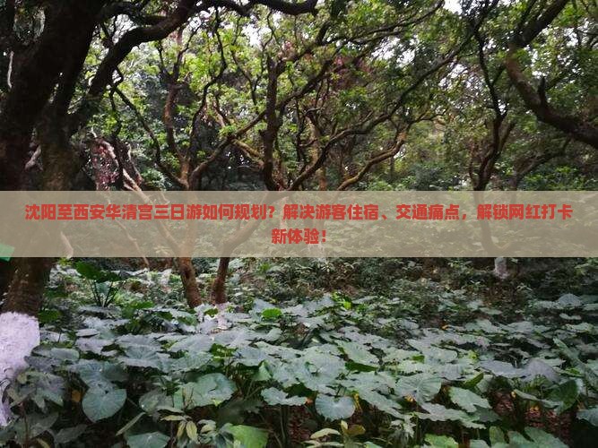 沈阳至西安华清宫三日游如何规划？解决游客住宿、交通痛点，解锁网红打卡新体验！