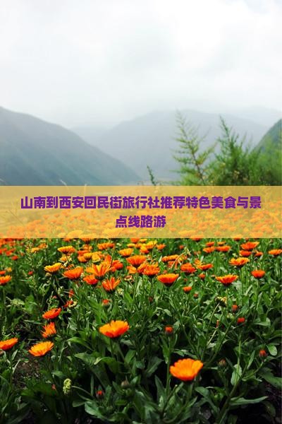 山南到西安回民街旅行社推荐特色美食与景点线路游