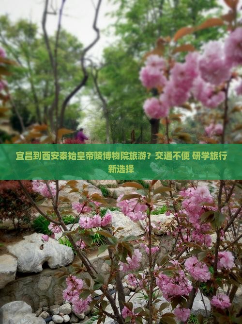 宜昌到西安秦始皇帝陵博物院旅游？交通不便+研学旅行新选择