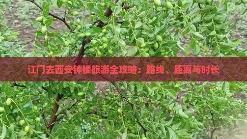 江门去西安钟楼旅游全攻略：路线、距离与时长