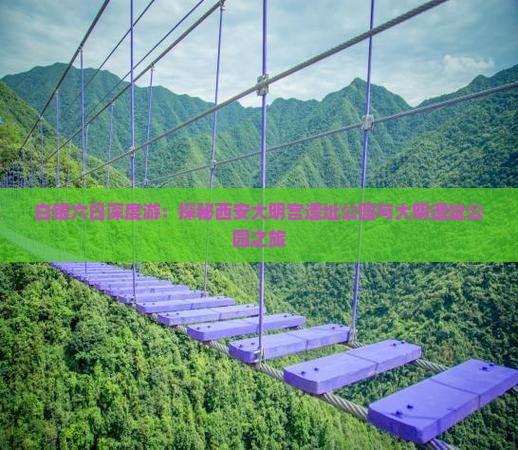 白银六日深度游：探秘西安大明宫遗址公园与大明遗址公园之旅