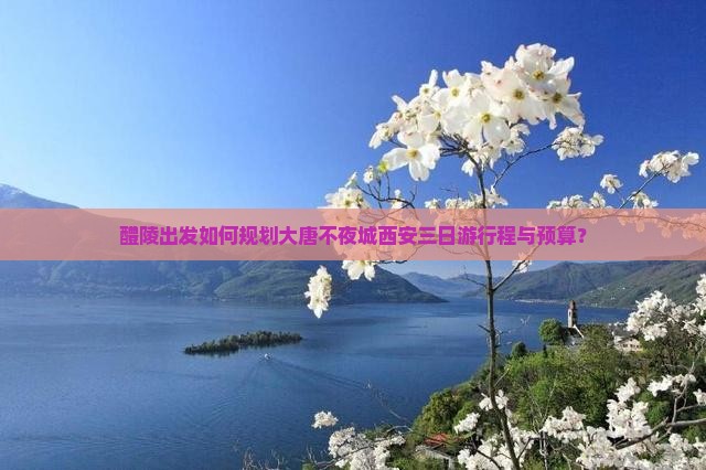 醴陵出发如何规划大唐不夜城西安三日游行程与预算？