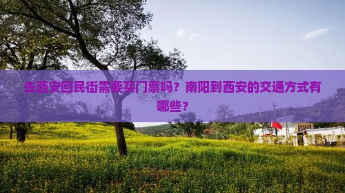 去西安回民街需要买门票吗？南阳到西安的交通方式有哪些？