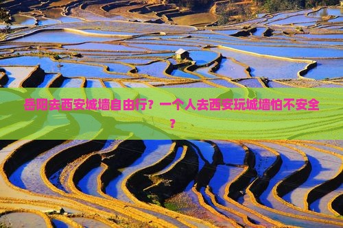 岳阳去西安城墙自由行？一个人去西安玩城墙怕不安全？