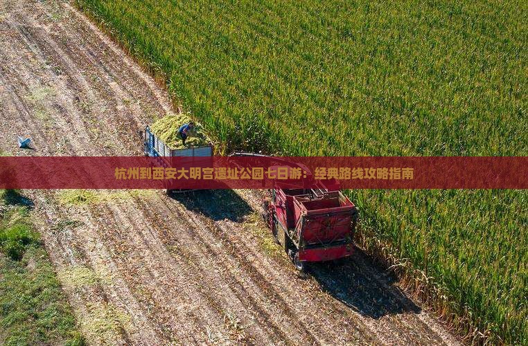 杭州到西安大明宫遗址公园七日游：经典路线攻略指南