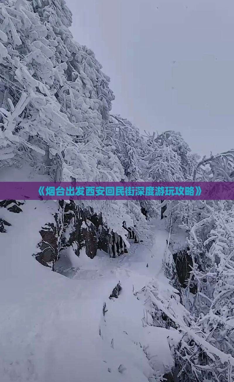 《烟台出发西安回民街深度游玩攻略》