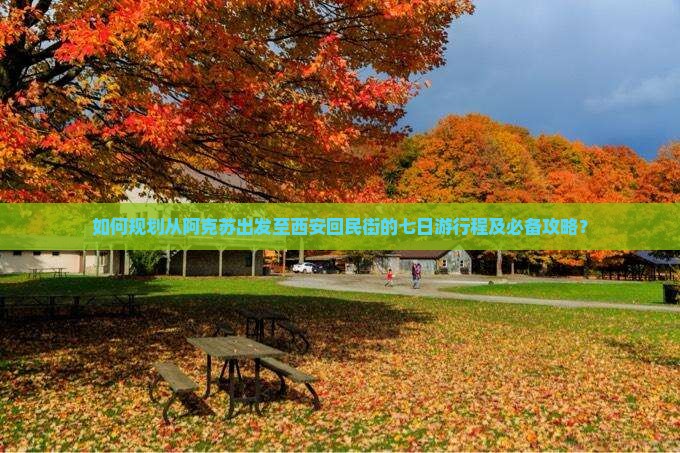 如何规划从阿克苏出发至西安回民街的七日游行程及必备攻略？
