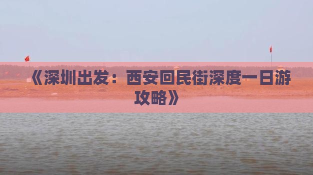 《深圳出发：西安回民街深度一日游攻略》