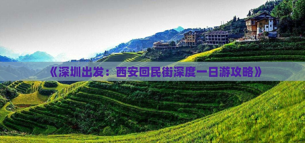 《深圳出发：西安回民街深度一日游攻略》