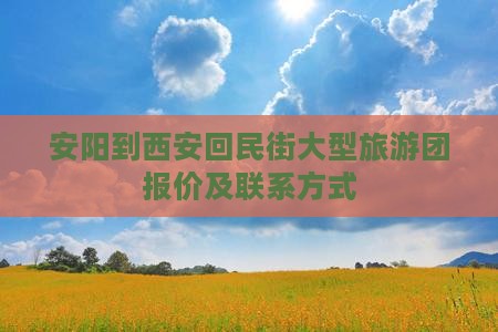 安阳到西安回民街大型旅游团报价及联系方式