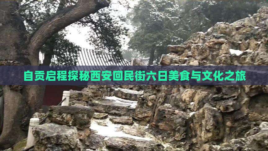 自贡启程探秘西安回民街六日美食与文化之旅