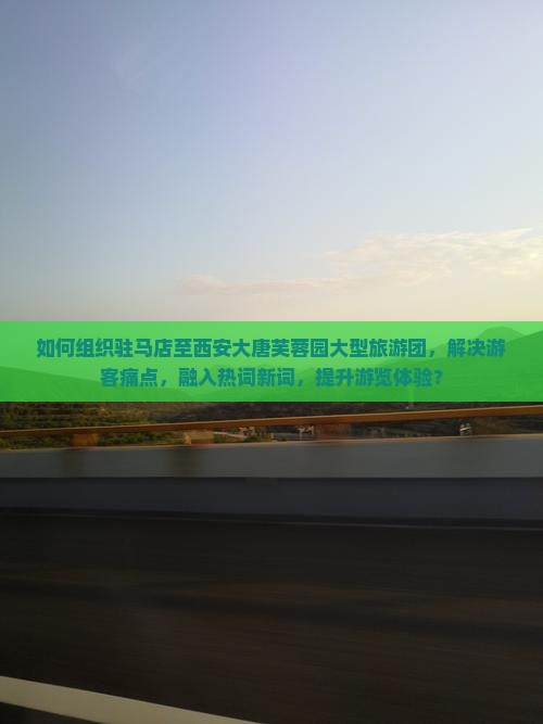 如何组织驻马店至西安大唐芙蓉园大型旅游团，解决游客痛点，融入热词新词，提升游览体验？