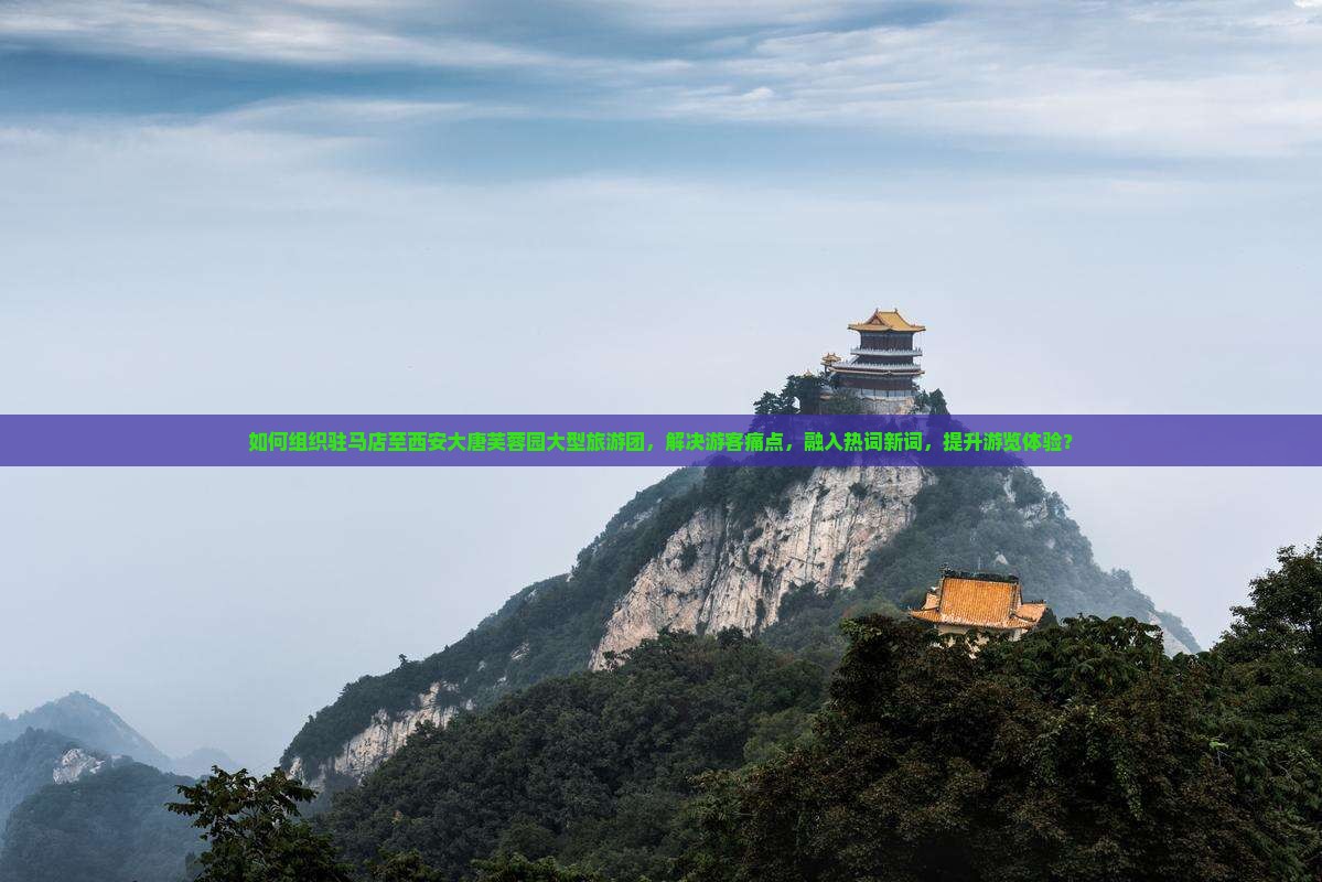如何组织驻马店至西安大唐芙蓉园大型旅游团，解决游客痛点，融入热词新词，提升游览体验？