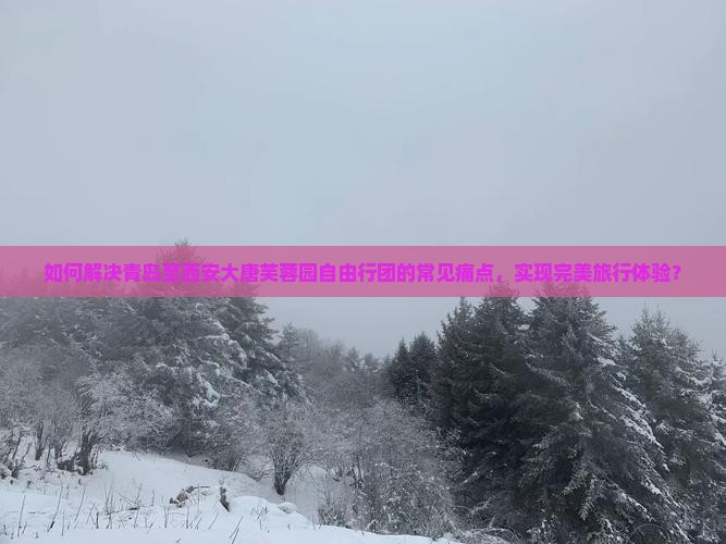 如何解决青岛至西安大唐芙蓉园自由行团的常见痛点，实现完美旅行体验？
